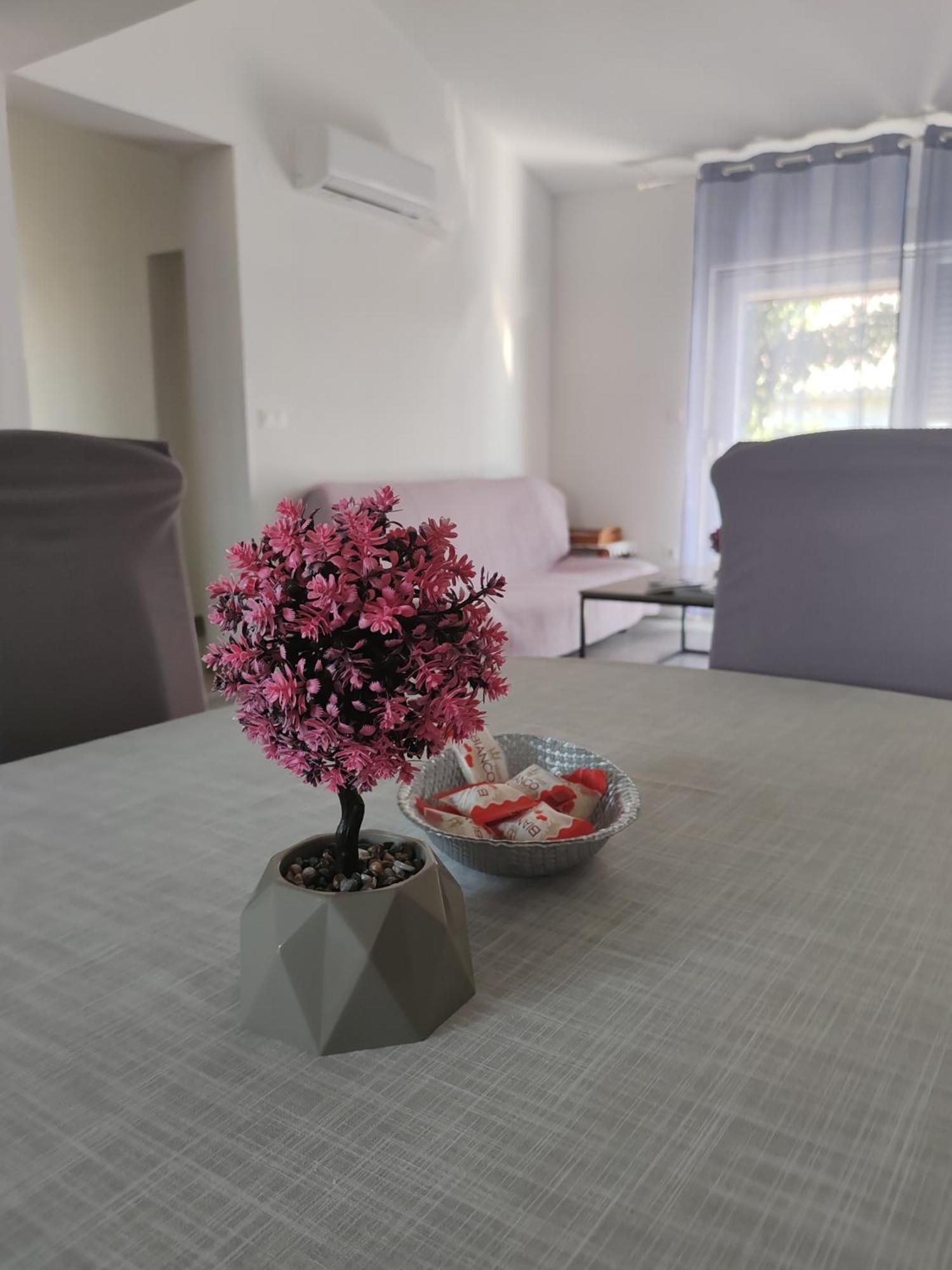 Apartman Olic Ражанац Экстерьер фото